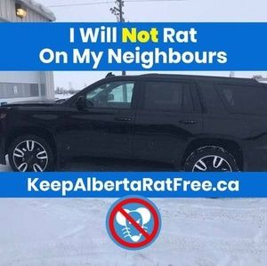 Meet your Posher, Kenneth